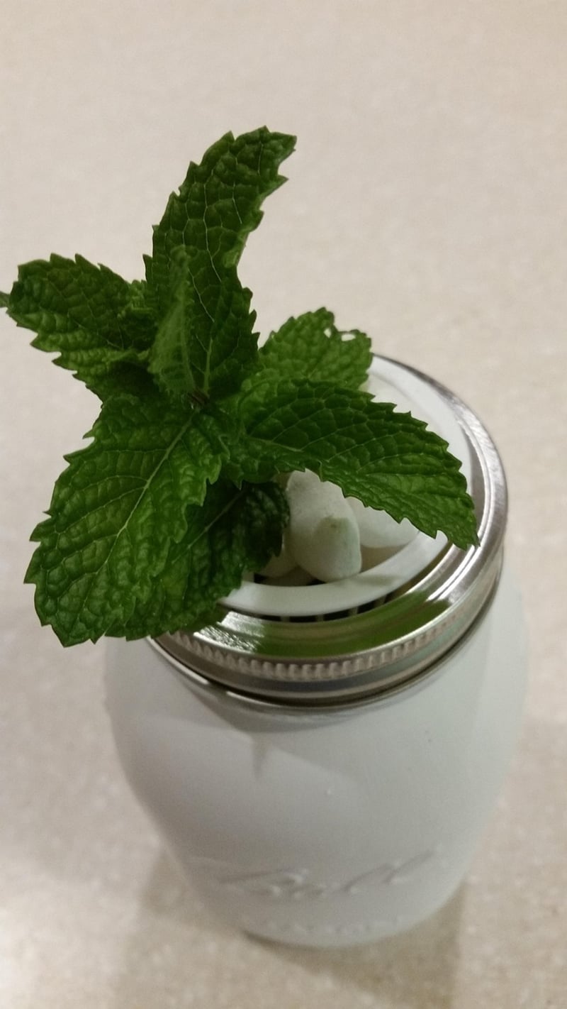 Mason Jars with Plants